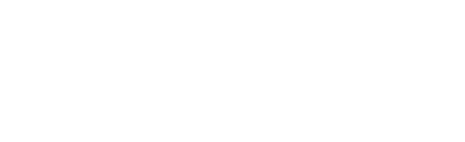 ZyCast logo